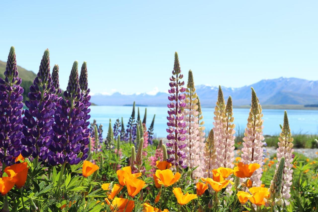 Vila Mt Sefton Lake Tekapo Exteriér fotografie